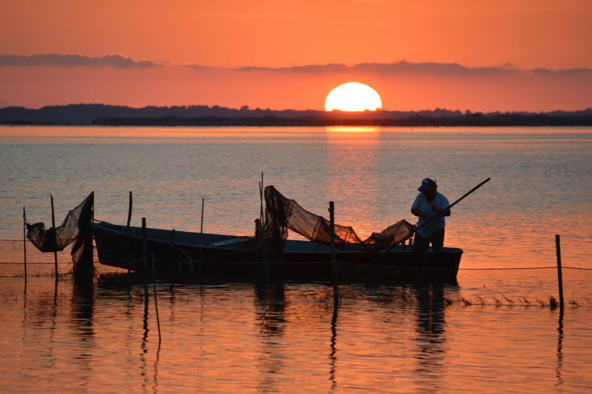Le Stanze Di Ricci - Affittacamere Low Cost Lesina Ngoại thất bức ảnh